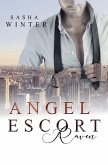 Angel Escort (eBook, ePUB)