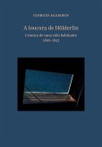 A loucura de Hölderlin (eBook, ePUB)