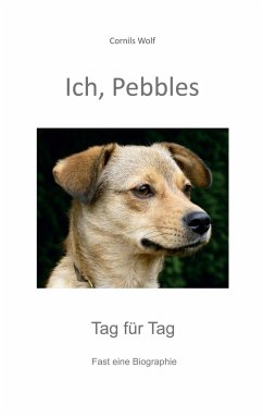 Ich, Pebbles (eBook, ePUB)