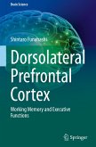 Dorsolateral Prefrontal Cortex