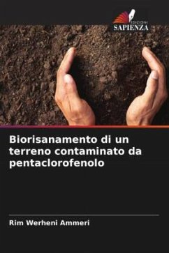 Biorisanamento di un terreno contaminato da pentaclorofenolo - Werheni Ammeri, Rim