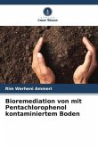 Bioremediation von mit Pentachlorophenol kontaminiertem Boden