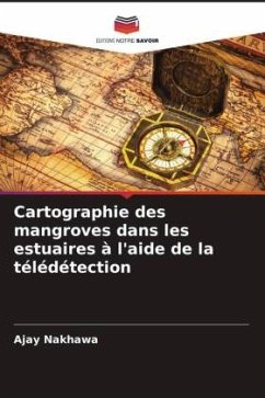 Cartographie des mangroves dans les estuaires à l'aide de la télédétection - Nakhawa, Ajay