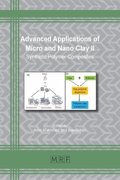 Advanced Applications of Micro and Nano Clay II - Inamuddin