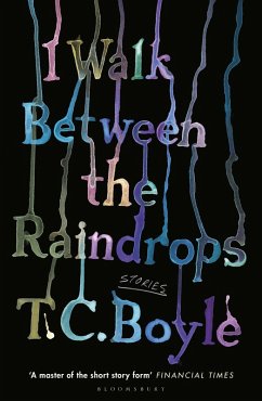 I Walk Between the Raindrops (eBook, PDF) - Boyle, T. C.