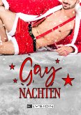 Gaynachten (eBook, ePUB)