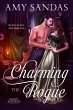 Charming the Rogue (Wright Bastards,... - Bild 1