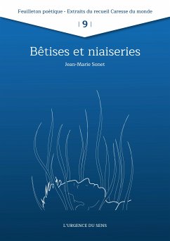 Bêtise et Niaiserie (eBook, ePUB) - Sonet, Jean-Marie