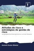 Atitudes de risco e estratégias de gestão de risco