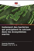 Isolement des bactéries qui précipitent le calcium dans les écosystèmes marins