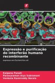 Expressão e purificação do interferão humano recombinante