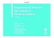 Tomo XX Esquemas de Derecho del trabajo II. Derecho sindical 4ª Edición 2020