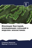 Izolqciq bakterij, osazhdaüschih kal'cij w morskih äkosistemah