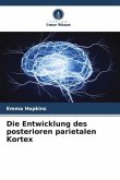 Die Entwicklung des posterioren parietalen Kortex