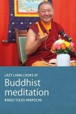 Lazy Lama looks at Meditation (eBook, ePUB)