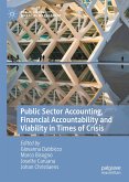 Public Sector Accounting, Financial Accountability and Viability in Times of Crisis (eBook, PDF)