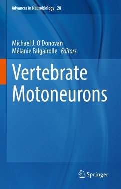 Vertebrate Motoneurons (eBook, PDF)