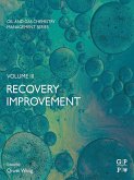 Recovery Improvement (eBook, ePUB)