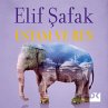 Ustam ve Ben (MP3-Download) - Bild 1