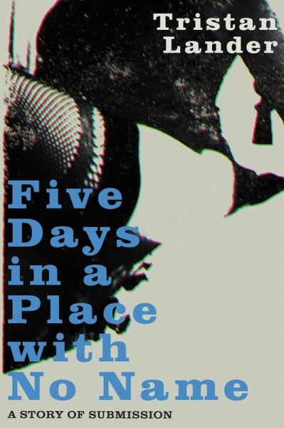 Five Days in a Place with No Name (eBook, ePUB)