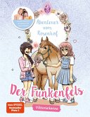 Der Funkenfels / Abenteuer vom Rosenhof Bd.1 (eBook, ePUB)