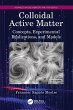 Colloidal Active Matter (eBook, PDF) - Bild 1