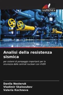 Analisi della resistenza sismica - Nesteruk, Danila;Skalozubov, Vladimir;Kochneva, Valeria