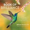 The Book of Brilliance - Bild 1