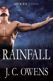 Rainfall (The Anrodnes Chronicles, #4) (eBook, ePUB)
