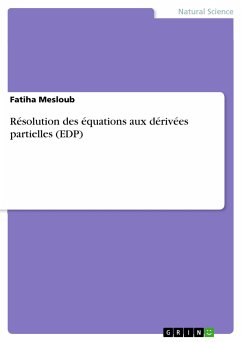 Résolution des équations aux dérivées partielles (EDP) (eBook, PDF) - Mesloub, Fatiha