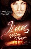 Jinn 2: Wilde Magie (eBook, ePUB)