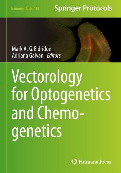 Vectorology for Optogenetics and Chemogenetics