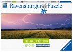Ravensburger 17491 - Nature Edition, Sommergewitter, Panorama-Puzzle, 500 Teile
