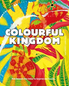 Colourful Kingdom (eBook, ePUB) - Omedes, Anna