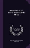 House Plants and how to Succeed With Them