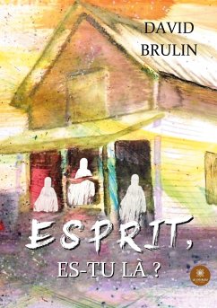 Esprit, es-tu là ? - David Brulin