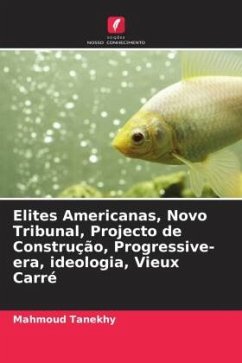 Elites Americanas, Novo Tribunal, Projecto de Construção, Progressive-era, ideologia, Vieux Carré - Tanekhy, Mahmoud