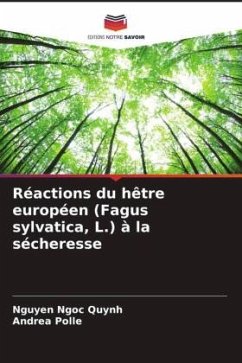 Réactions du hêtre européen (Fagus sylvatica, L.) à la sécheresse - Ngoc Quynh, Nguyen;Polle, Andrea