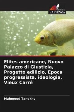 Elites americane, Nuovo Palazzo di Giustizia, Progetto edilizio, Epoca progressista, ideologia, Vieux Carré - Tanekhy, Mahmoud