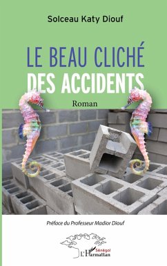Le beau cliché des accidents Cover Le beau cliché des accidents
