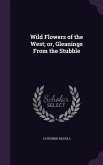 Wild Flowers of the West; or, Gleanings From the Stubble