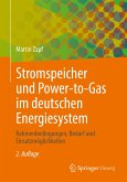 Stromspeicher und Power-to-Gas im deutschen Energiesystem (eBook, PDF)