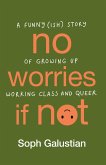 No Worries If Not (eBook, ePUB)