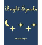 Bright Sparks (eBook, ePUB)