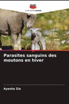 Parasites sanguins des moutons en hiver - Zia, Ayesha