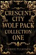 Crescent City Wolf Pack Collection One - Bild 1