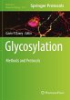 Glycosylation - Bild 1