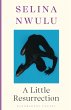 A Little Resurrection (eBook, ePUB) - Bild 1
