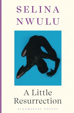 A Little Resurrection (eBook, PDF) - Nwulu, Selina