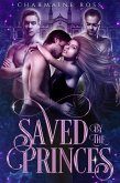 Saved by the Princes: A fairytale retelling paranormal romance (Reverse Harem Paranormal Romance Series, #1) (eBook, ePUB)